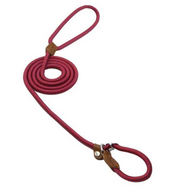 Nylon Dog Collar & Lead Set