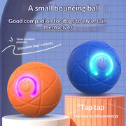 Interactive Rolling Cat Ball Toy
