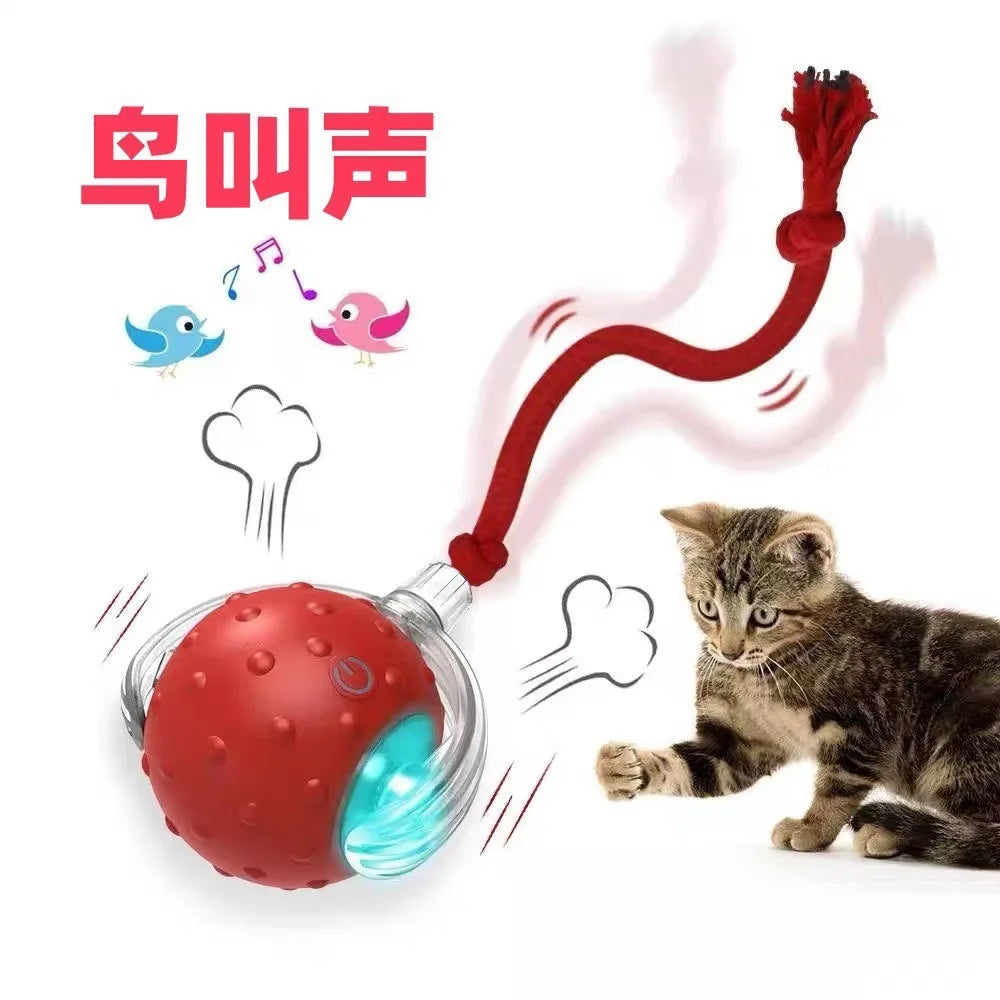 Interactive Rolling Cat Ball Toy