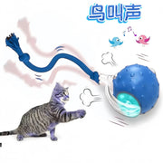 Interactive Rolling Cat Ball Toy